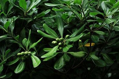 烧脑科幻冒险《混沌之脑》双版合集预告 2.24日登陆Switch