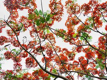 《沉没引擎》开启抢先体验 克苏鲁风船舶修理模拟